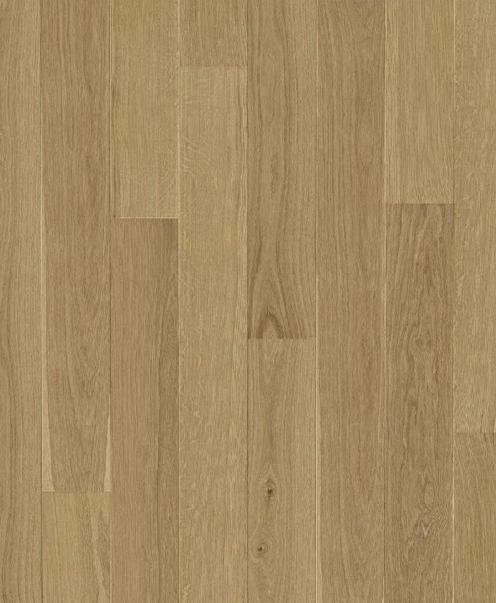 Mikasa Oak Berlin