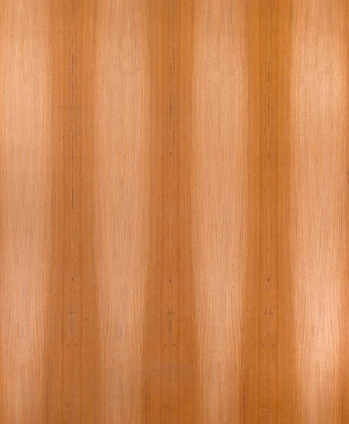 Teak Divine Grainless